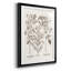 Sépia Besler Botanicals I - ensemble de 3 reproductions de cadres photo-69879056-69879058