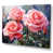 Toile tendue