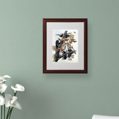 Art mural encadré - Décoration murale John James Audubon «Pileat Woodpeckers» avec cadre mat - Art du salon, de la cuisine et de la salle de bain - 16 x 20