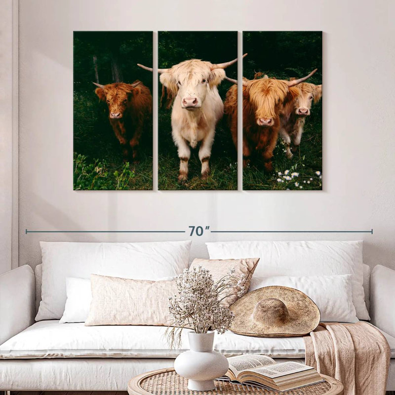 Light Haired Highland Cows, 32" H x 50" W
