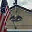 Customer photo 3 of 5