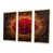 Gold Floater Framed