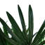 100cm Faux Palm Tree in Pot Liner