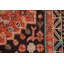 Tapis oriental à motif végétal à teinture végétale 8 x 10