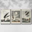 Pl 251 Pelican brun - ensemble de 3 cadres flottants sur toile-97710266-97710267