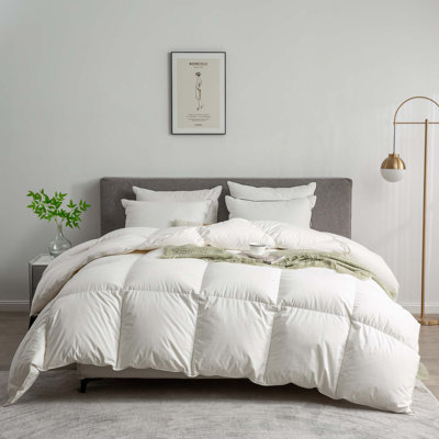 Every-Season Feather Down Comforter/ Duvet Insert with Soft Cotton Blend Cover, Queen