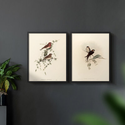 «Vintage Animal III», estampe numérique encadrée - ensemble de 2