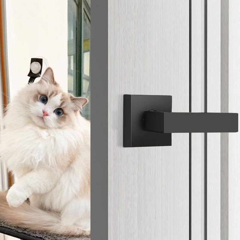 Black Single Dummy Door Lever, Single Dummy, Black, Concealed Screws