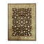Wool Oriental Area Rug in Gold