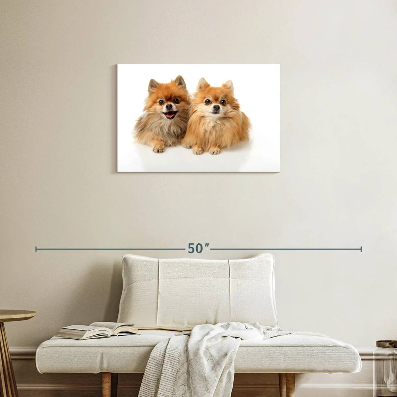 Crowle Posing Pomeranians, 20" H x 30" W
