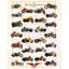 Harley Davidson Legend-273336500