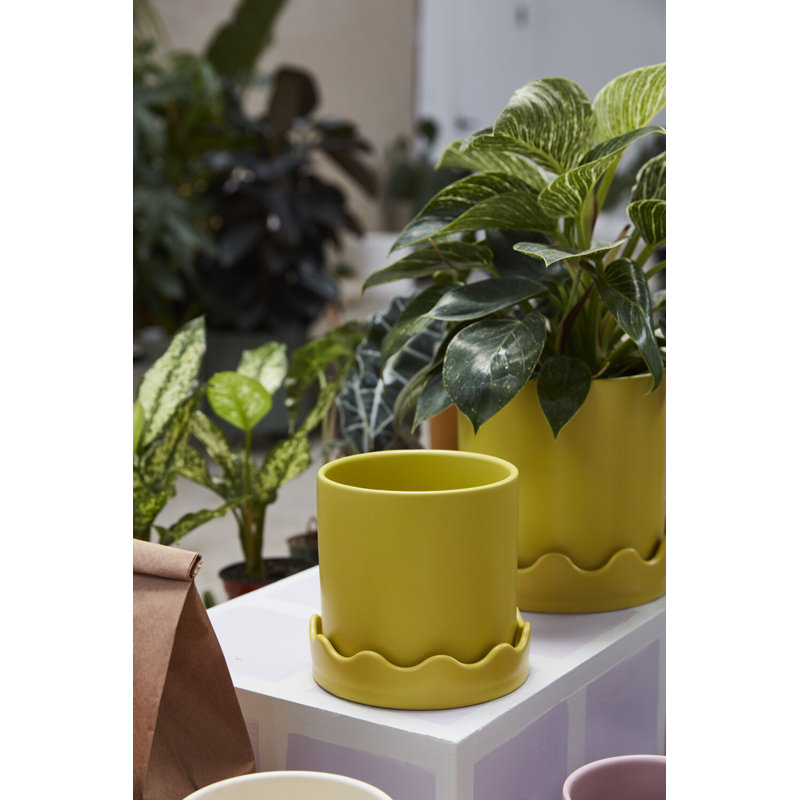 Pot avec soucoupe Winterview 7,5 po x 7,25 po, Jaune, H 5,75 po x l 6 po x P 6 po