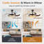 Kymiere 18.1'' Ceiling Fan with LED Lights