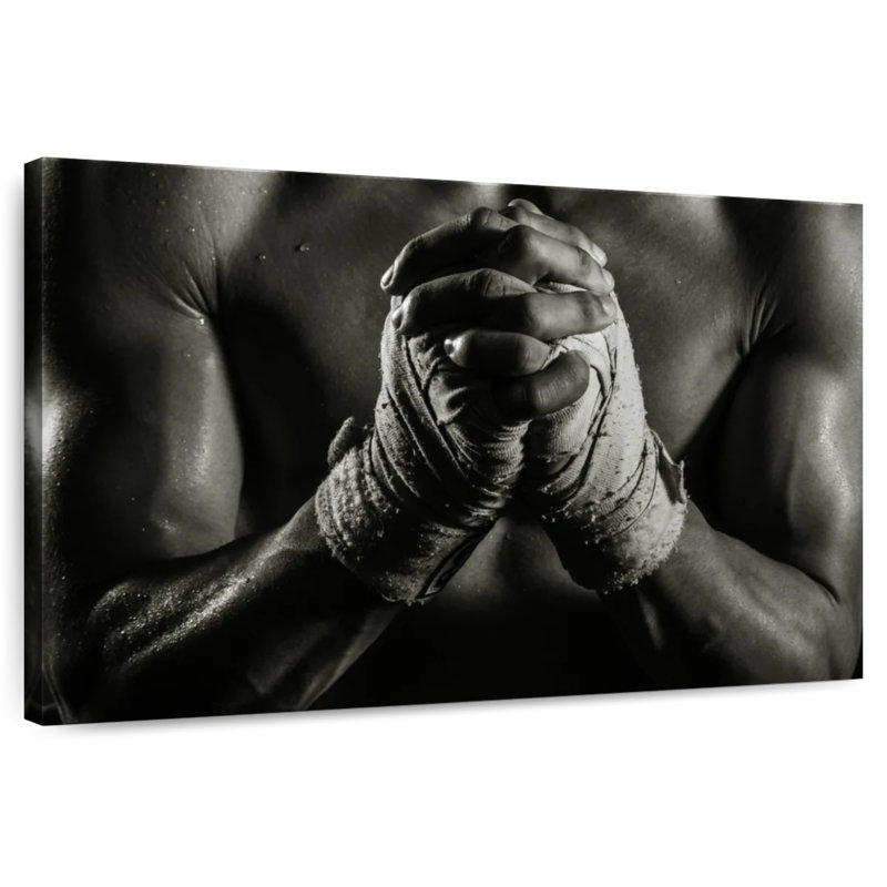 Sireci Dedicated Boxer, 20" H x 30" W