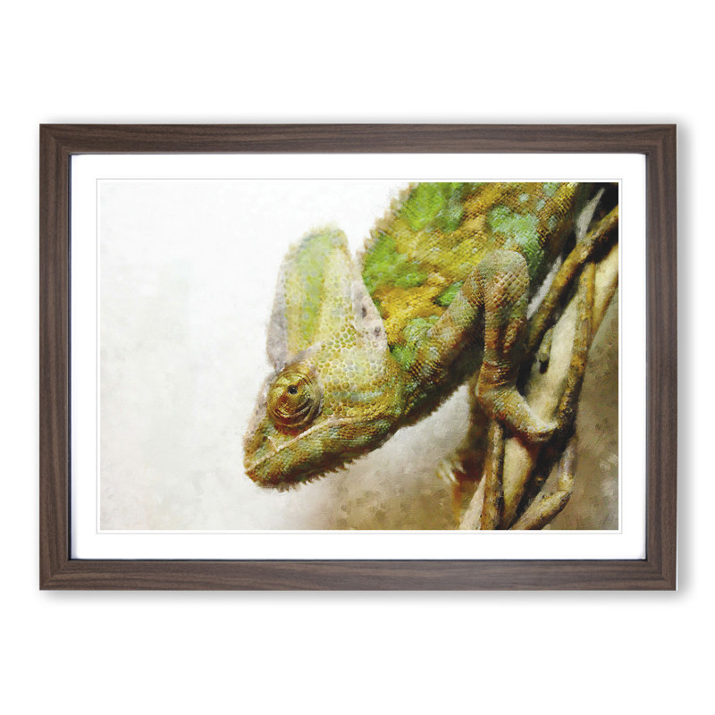 Chameleon Lizard Vol.3 - Framed Print, 48cm H x 65cm W x 2cm D, Walnut Framed