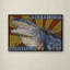 «Alligator 1» par Kadey, impression sur toile-21649592