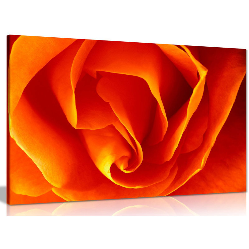 Rose - Wrapped Canvas Print, 41cm H x 61cm W