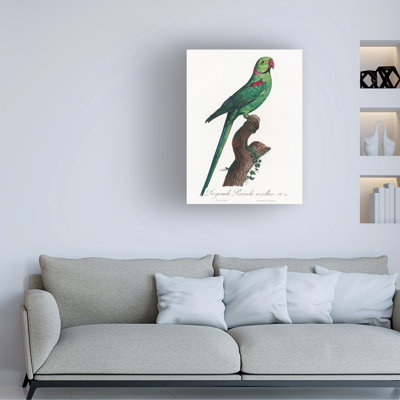 "Ologiste Perroquet VII "sur toile