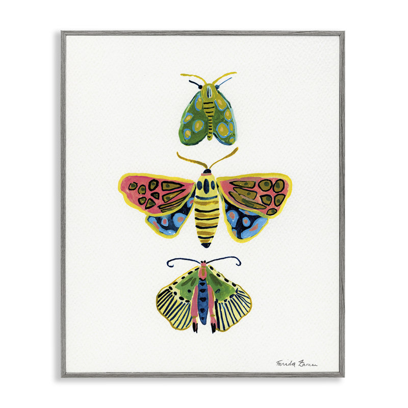 Giclée encadrée de Bright Moths Earth Tones, conception de Farida Zaman, Estampe numérique Farmhouse, H 30 po x l 24 po