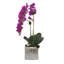 Real Touch Orchid Floral Arrangement in Pot