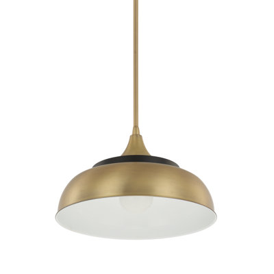 Luminaire suspendu en dome à 1 lumière