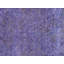 Azerbaijan One-of-a-Kind 9'2" X 11'11" Area Rug