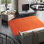 Sprouts Wool Area Rug in Orange-40705247