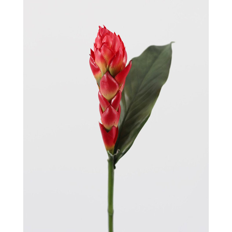 Faux gingembre tropical de 32 po