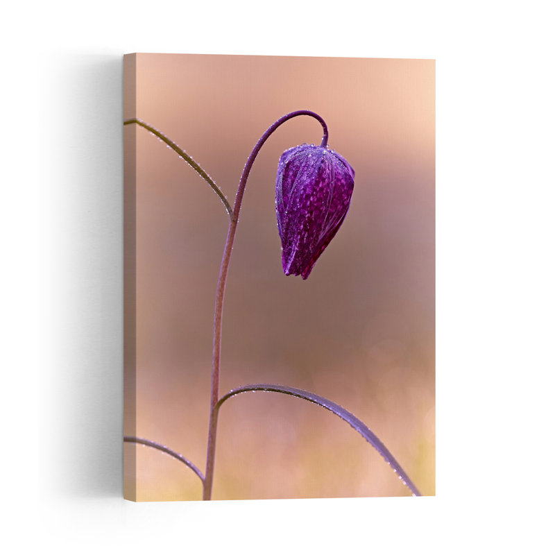 Stuart Williams - Print, 60.96cm H x 40.64cm W, Purple