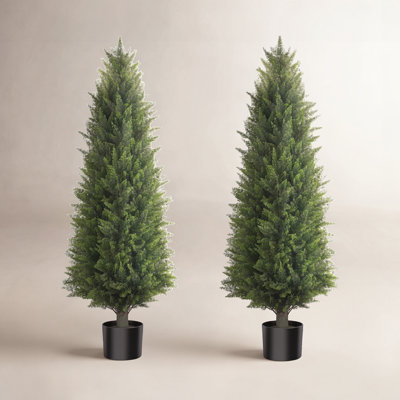 47" Cedar Tree in Pot
