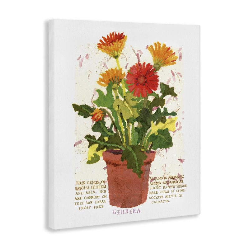 Art mural sur toile, "Gerbera Daisies" en pot par Nancy Overton, H 20 po x l 16 po