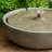 Ilyjah Hand-Crafted Concrete Birdbath Fountain-66203851
