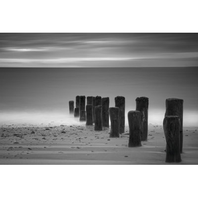 Marching - Wrapped Canvas Print