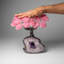 Custom - Genuine Rose Quartz Clustered Gemstone Tree On Amethyst Geode Matrix (The Love Tree)