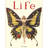 Life Butterfly-787999261