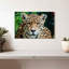 Jaguar solitaire-107724291