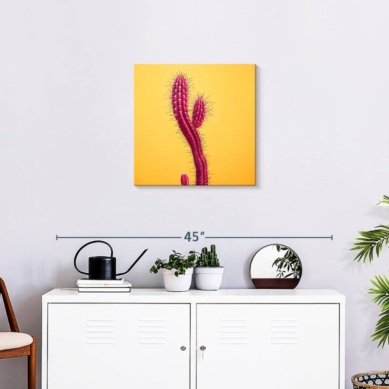 Cactus épineux, H 20 po x l 20 po
