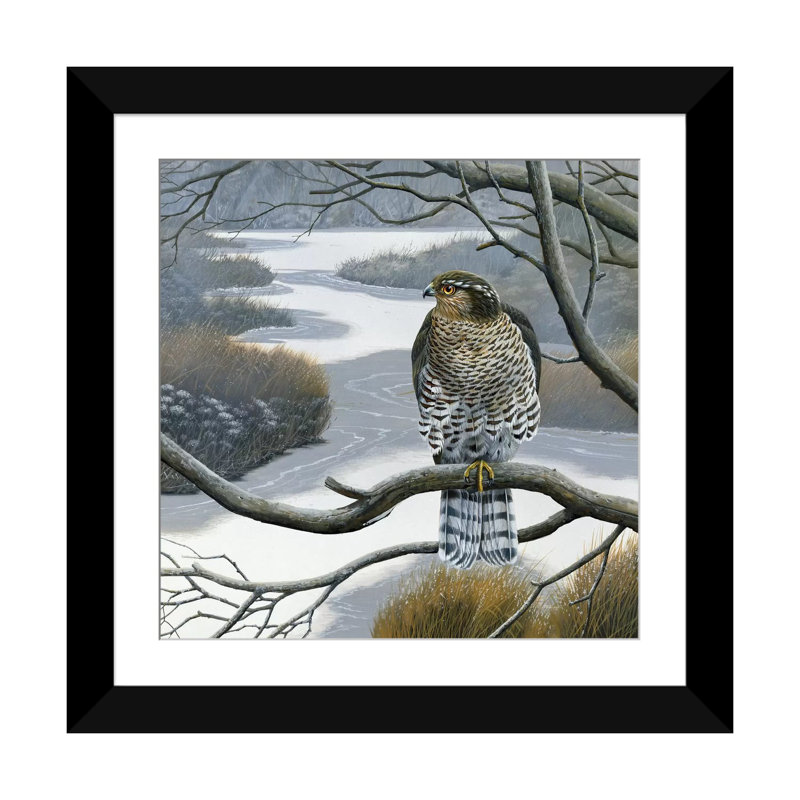«Hawk in a Tree», impression sur toile, Papier d'art encadré noir, Blanc, H 16 po x l 16 po x P 1 po