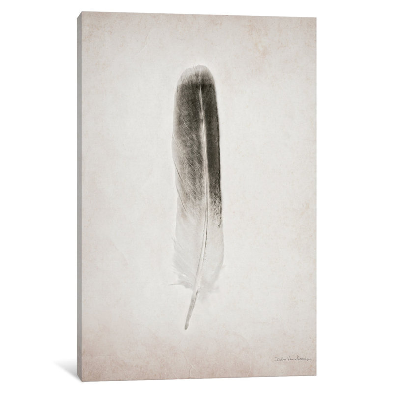 «Feather II» par Debra Van Swearingen - Estampe numérique sur toile tendue avec châssis, H 18 po x l 12 po x P 1,5 po