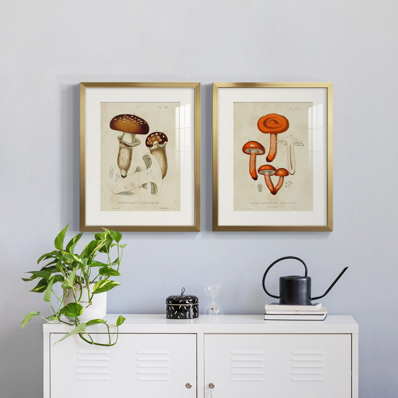 Variétés de champignons III - reproduction encadrée de qualité supérieure - prête à être accrochée