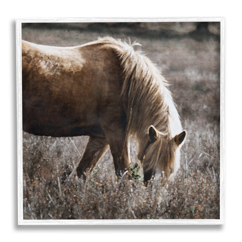 Cheval sauvage broutant encadré sur bois par LSR Design Studio, impression, Blanc, H 24 po x l 24 po x P 1,5 po