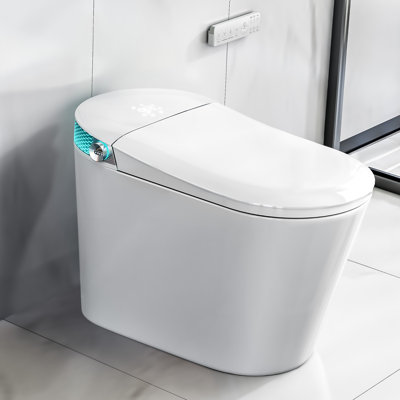 Dual-Flush Elongated Bidet Toilet (Seat Included)