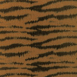 Tigre Warp Print