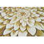 Tapis beige Rakhi-276141192