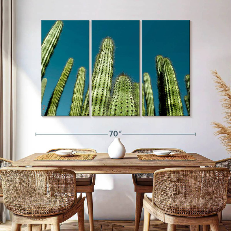 Cactus bleu ciel Harnek, H 42 po x l 65 po
