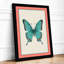 Symmetrical Butterfly Study Botanical - Framed Print-30129589-30129591
