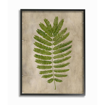 « plante parchemin green », impression
