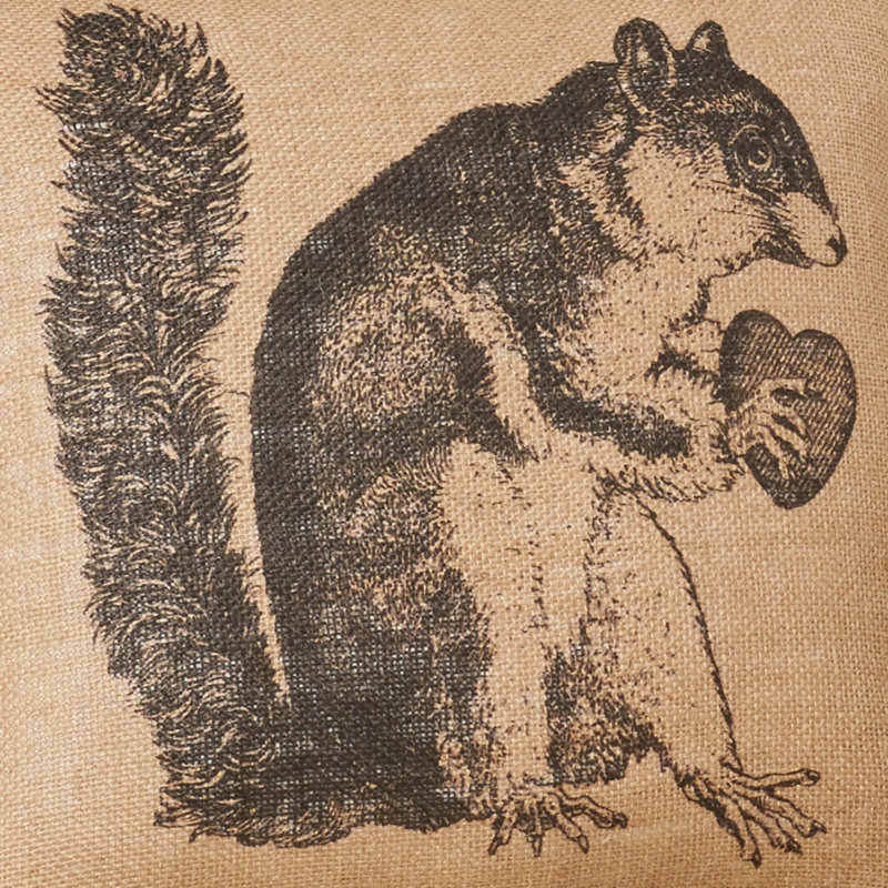  Squirrel Throw Pillow