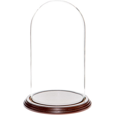 Vucciria Glass Display Dome Cloche