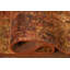 Tapis indien moderne all-over 4 x 6